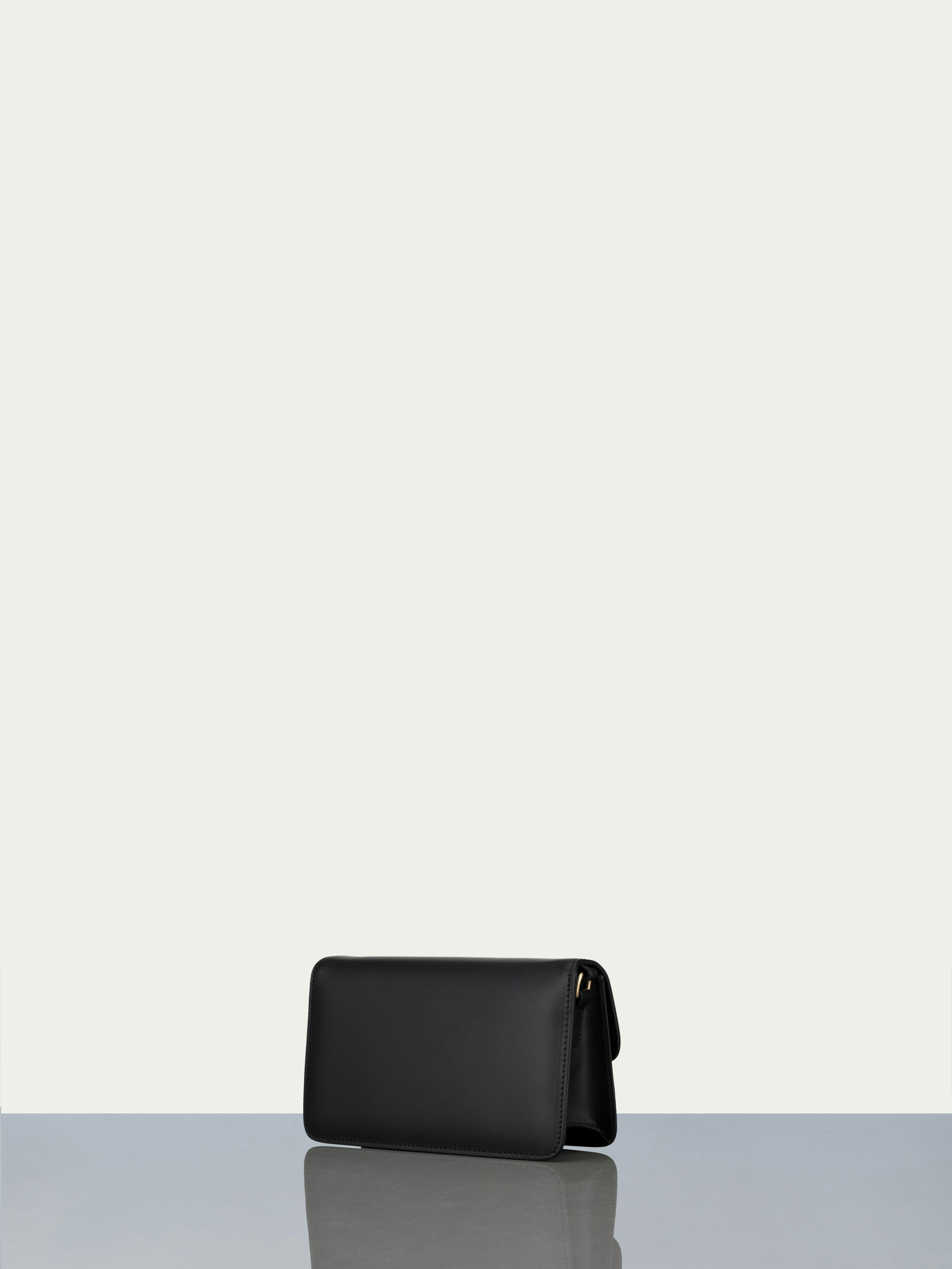 handbag back view